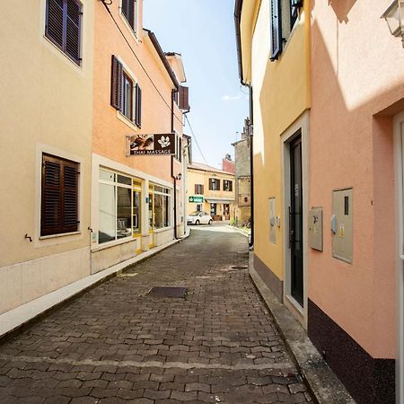 Studio Apartman Amalie Pazin Exterior foto