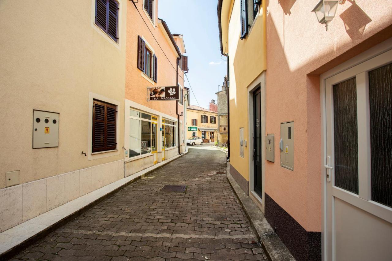 Studio Apartman Amalie Pazin Exterior foto
