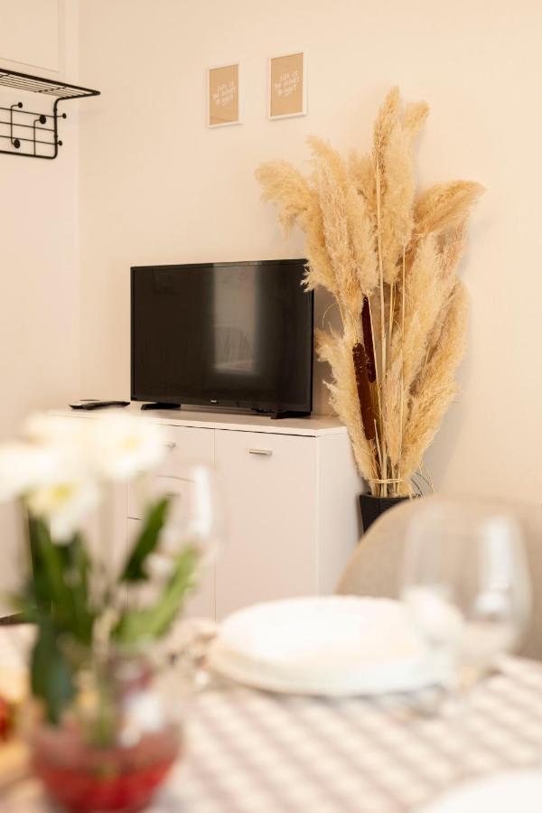 Studio Apartman Amalie Pazin Exterior foto